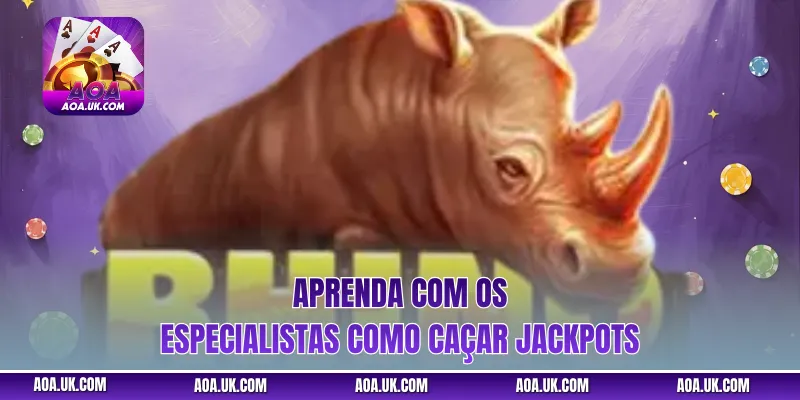 Aprenda com os especialistas como caçar jackpots